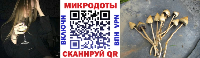 Псилоцибиновые грибы ЛСД  где купить наркоту  Озёры 